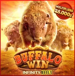 buffalo win by ราชา สล็อต 168